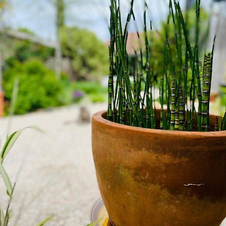 La Poterie Panzió Carresse Kültér fotó